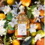 Guerlain Aqua Allegoria Harvest Mandarine Basilic toaletní voda plnitelný flakón pro ženy 125 ml