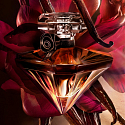 Lancome La Nuit Tresor Vanille Noire parfémovaná voda pro ženy 30 ml