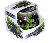 Admit Black Currant - Černý rybíz dekorativní aromatická svíčka ve skle 80 g