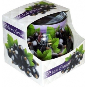 Admit Black Currant - Černý rybíz dekorativní aromatická svíčka ve skle 80 g