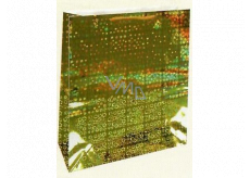 Nekupto Dárková papírová taška hologram standart 23 x 18 x 10 cm Zlatá THM