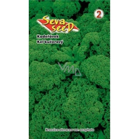 Seva - Seed Kadeřávek zelený 0,8 g