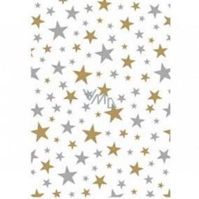 Ditipo Dárkový balicí papír 70 x 200 cm Bílý zlaté a stříbrné hvězdičky