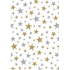 Ditipo Dárkový balicí papír 70 x 200 cm Bílý zlaté a stříbrné hvězdičky