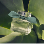 Chloé Rose Naturelle Intense parfémovaná voda plnitelný flakon pro ženy 50 ml