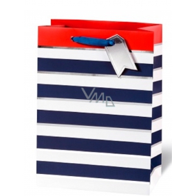 BSB Luxusní dárková papírová taška 36 x 26 x 14 cm Modro-bílé proužky LDT 392 - A4