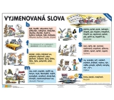 Ditipo Slovní druhy - Vyjmenovaná slova tabulka A4