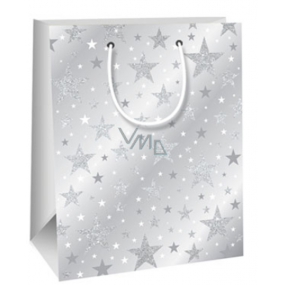 Ditipo Dárková papírová taška Glitter 18 x 10 x 22,7 cm šedá, hvězdy QC