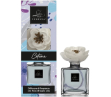 Lady Venezia Dream Cotone - Bavlna aroma difuzér s květem pro postupné uvolňování vůně 100 ml