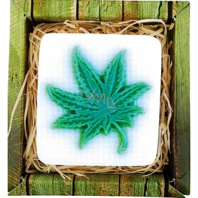 Bohemia Gifts Cannabis ručně vyráběné toaletní mýdlo v krabičce 80 g