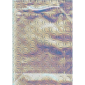 Nekupto Dárková papírová taška hologram 32,5 x 26 x 13 cm Stříbrná 050 02 THL