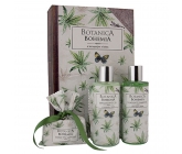 Bohemia Gifts Botanica Konopný olej sprchový gel 200 ml + šampon na vlasy 200 ml + toaletní mýdlo 100 g, kniha kosmetická sada