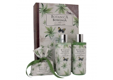 Bohemia Gifts Botanica Konopný olej sprchový gel 200 ml + šampon na vlasy 200 ml + toaletní mýdlo 100 g, kniha kosmetická sada