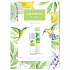 Chanson d Eau Original parfémovaný deodorant sklo 75 ml + deodorant sprej 200 ml, kosmetická sada pro ženy