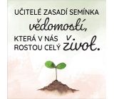 Albi Magnetka Učitelé zasadí semínka vědomostí, která v nás rostou celý život 6,5 x 6,5 cm