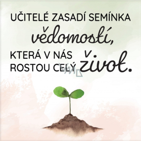 Albi Magnetka Učitelé zasadí semínka vědomostí, která v nás rostou celý život 6,5 x 6,5 cm