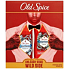 Old Spice Wolfthorn deodorant stick 50 ml + sprchový gel 250 ml, kosmetická sada