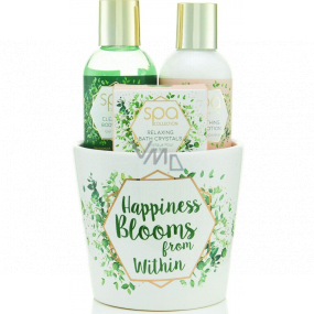 SK S&G Spa Happiness Blooms from Within tělové mýdlo 100 ml + tělové mléko 100 ml + koupelové krystalky 50 g, kosmetická sada v květináči