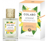 Colabo Oriental parfémovaná voda pro unisex 100 ml