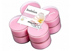 Bolsius Aromatic 2.0 Magnolia - Magnólie maxi vonné čajové svíčky 8 kusů, doba hoření 8 hodin