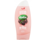 Radox Feel Detoxed obnovující směs jílu a vůně Acai bobulí oživující sprchový gel 250 ml