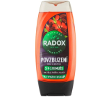 Radox Men 3v1 Povzbuzení Goji a kofein sprchový gel pro muže 225 ml