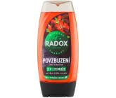 Radox Men 3v1 Povzbuzení Goji a kofein sprchový gel pro muže 225 ml