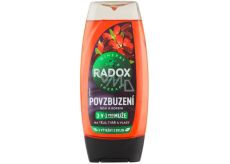 Radox Men 3v1 Povzbuzení Goji a kofein sprchový gel pro muže 225 ml