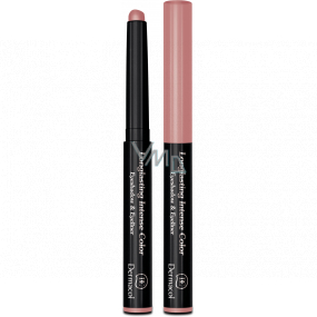 Dermacol Longlasting Intense Colour Eyeshadow & Eyeliner 2v1 oční stíny a linka 10 1,6 g