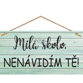 Bohemia Gifts Dekorační obraz na zavěšení Milá školo ...13 x 24 cm