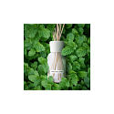 Millefiori Milano Natural White Mint & Tonka - Bílá máta a Tonkové boby Difuzér 250 ml + 8 stébel v délce 30 cm do středně velkých prostor vydrží minimálně 3 měsíce