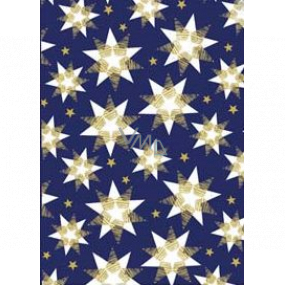 Ditipo Dárkový balicí papír 70 x 200 cm Vánoční modrý bílo-zlaté hvězdy