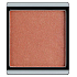 Artdeco Lip Powder prášek na rty 8 Atelier 1 g