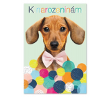 Ditipo Hrací přání k narozeninám Máme rádi zvířata Jitka Molavcová, Bambini di Praga 224 x 157 mm