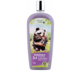 Bohemia Gifts Herbs Borůvka 3v1 sprchový gel, šampon a pěna do koupele pro děti 500 ml