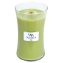WoodWick Fern - Kapradina vonná svíčka s dřevěným knotem a víčkem sklo velká 609,5 g