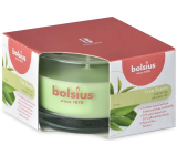 Bolsius True Scents Green Tea - Zelený čaj vonná svíčka ve skle 80 x 50 mm