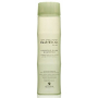 Alterna Bamboo Luminous Shine bambusový šampon pro třpytivý lesk 250 ml