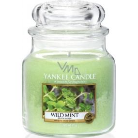 Yankee Candle Wild Mint - Divoká máta vonná svíčka Classic střední sklo 411 g