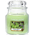 Yankee Candle Wild Mint - Divoká máta vonná svíčka Classic střední sklo 411 g
