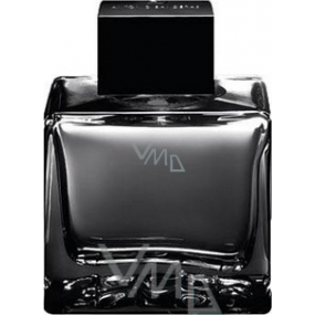 Antonio Banderas Black Seduction toaletní voda pro muže 100 ml Tester