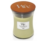 WoodWick Fern - Kapradina vonná svíčka s dřevěným knotem a víčkem sklo velká 609,5 g