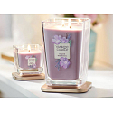 Yankee Candle Sugared Wildflowers - Sladké divoké květiny sojová vonná svíčka Elevation malá sklo 1 knot 96 g