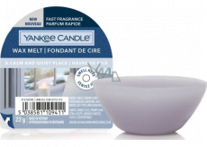 Yankee Candle A Calm & Quiet Place - Klidné a tiché místo vonný vosk do aromalampy 22 g