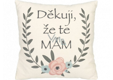 Albi Humorný polštář velký Děkuji, že tě mám 36 x 30 cm