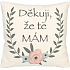 Albi Humorný polštář velký Děkuji, že tě mám 36 x 30 cm