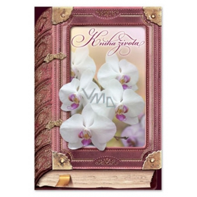 Ditipo Hrací přání k svatbě Kniha života Bílá orchidej Eva a Vašek 224 x 157 mm