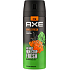 AXE Jungle Fresh deodorant ve spreji, 150 ml