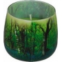 Essences of Life Forest aromatická svíčka ve skle 100 g