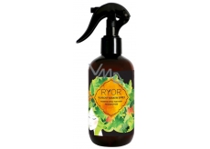 Ryor Hair Care vlasový keratin sprej 250 ml